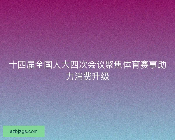 十四届全国人大四次会议聚焦体育赛事助力消费升级